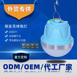 其他室外照明;LED应急灯;LED球泡灯