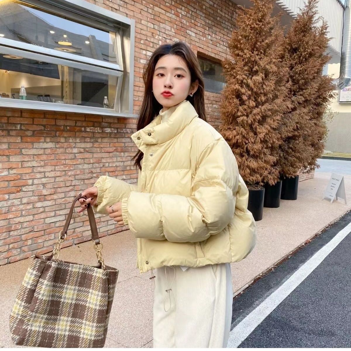 欧版90白鸭绒羽绒服冬季新款韩国东大门原版面包服立领保暖外套女