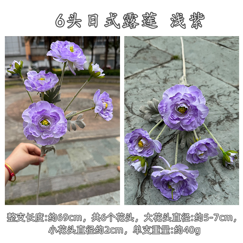 밝은 보라색