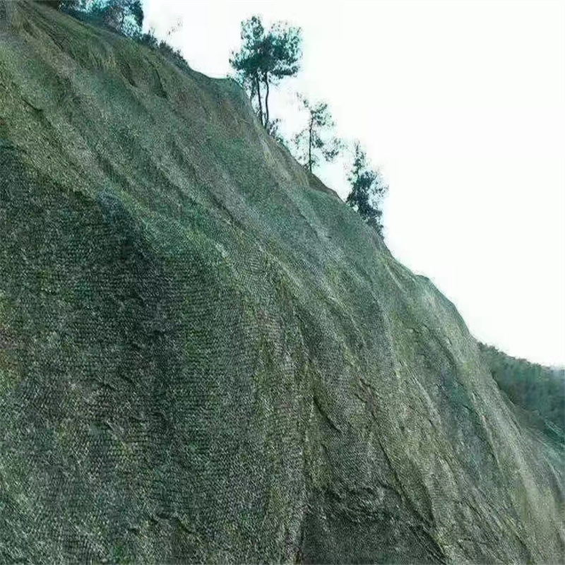 5658469eb62d0203e986264f8edee0