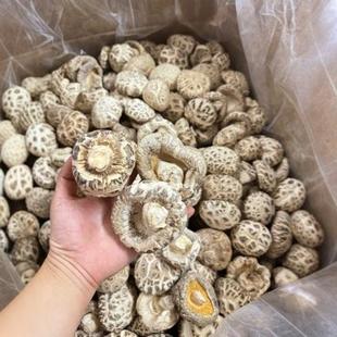 �������l�󻨹�������⻨�y����r��