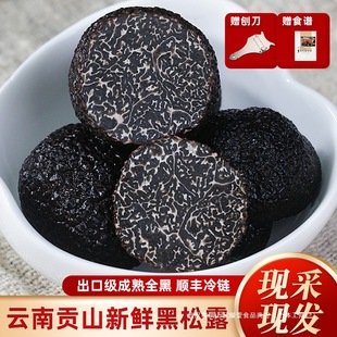 ���r����¶����Ұ����������خa�ؼ����r����¶�������K���i����