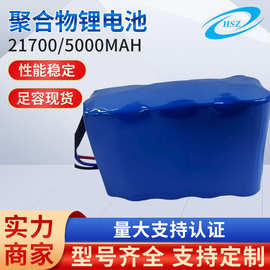 21700-5000/25.6V /5A磷酸铁锂电池组