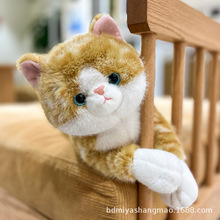 �ɐ۷���؈�仨؈��؈������ż����ſſ؈��ë�q���