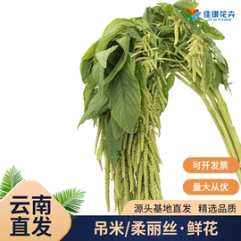 鲜切花;干花;园艺工具