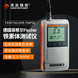 德国菲希尔FISCHER FERITSCOPE FMP30 铁素体测试仪 铁素体测量仪