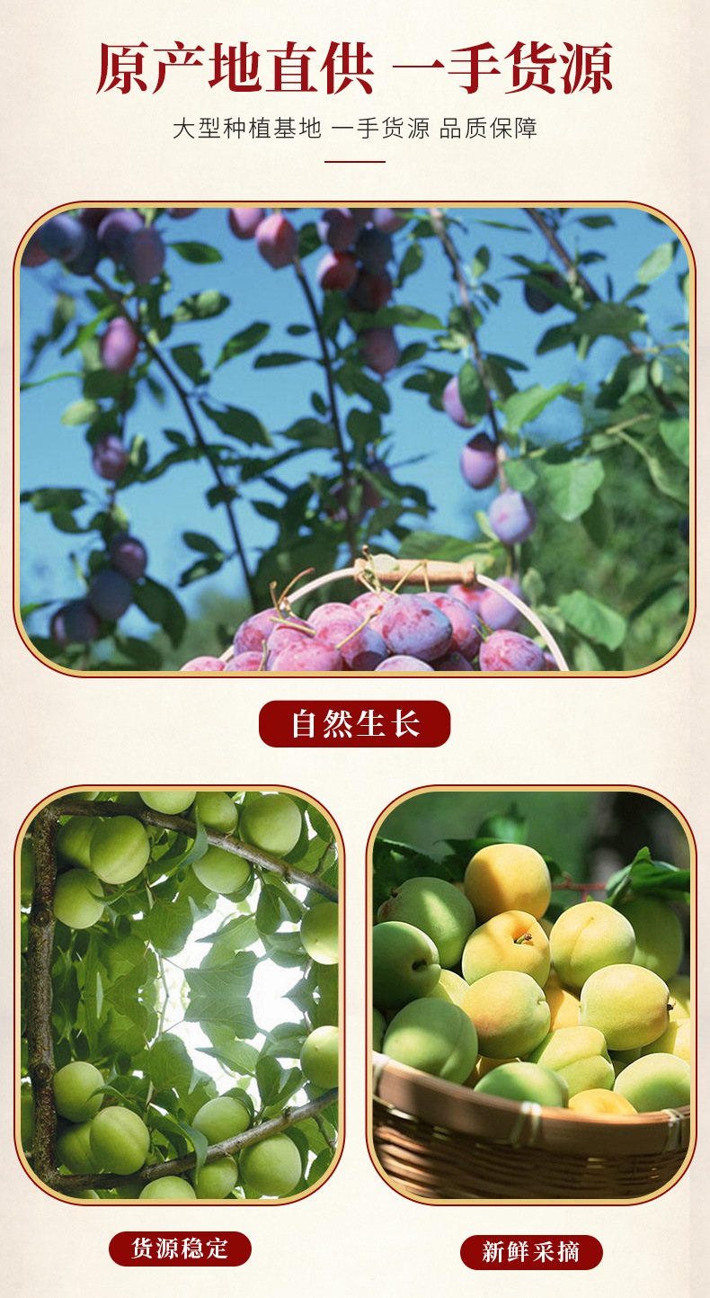 Dried Dark Plum Wu Mei Whole Fruit Bulk Sour Plum Soup Ingredient Smoky Aroma Thick Flesh 1 Jin 500g overview
