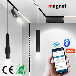 220V Magnetic Track Light Embedded Line Light Surface Mounted Hidden Rail Light Home Living Room Without Main Light Spotlight