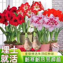 �������M���ذ���피t�N����������҃��̨ͥԺ�ͺ����Ի����׻�