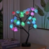 Colorful remote control model
