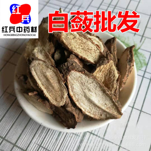 ��ș�����l���` ���ذ��`Ƭ���`�����r������ă����`