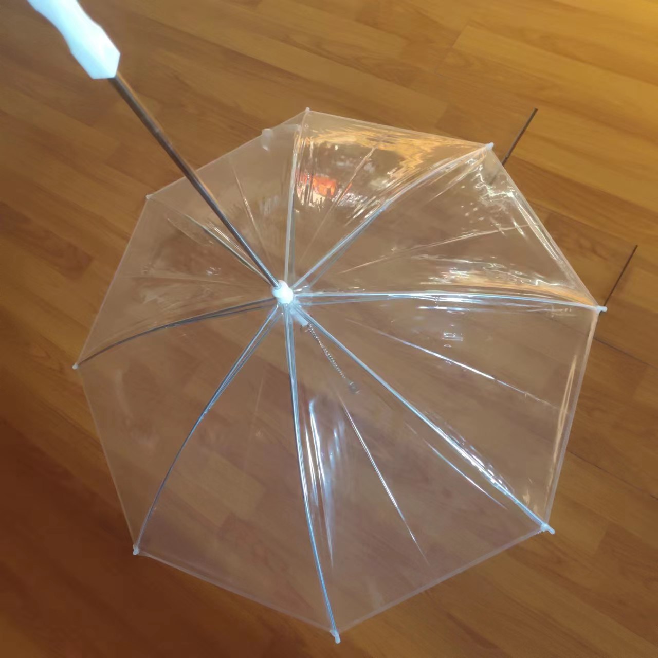 f70a2492f4b552253e0050d56dcb7a