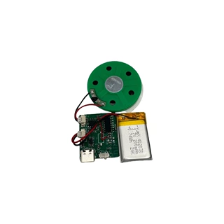 工厂定制新款蓝牙可USB下载MP3音乐模块发声配件播放器音乐墙机芯