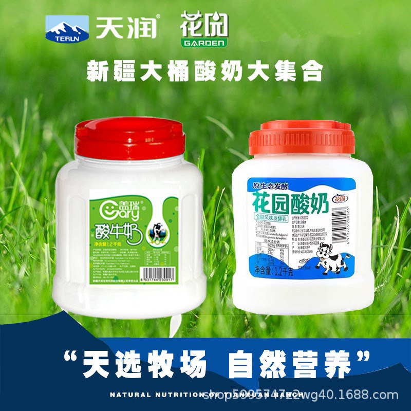 Gary Yogurt Large Barrel 1.2kg Fruit Scoop Popular Original Concentrated Flavor Old Yogurt Free Shipping