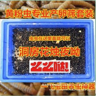 �x�Y�N������b�Y�P�S���x�Bֳ�a�Ѵ����x����B���P䓷�ֳ�x�a��