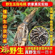 ��ָë�Ҹ�Ұ����צ����؛�ؼ���ș���Ҝ������������͌�ɽș