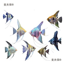 �����~���~�������~������ɫ�Ꭷ�^�p�~С�͵�ˮ���B�߲�����̫��