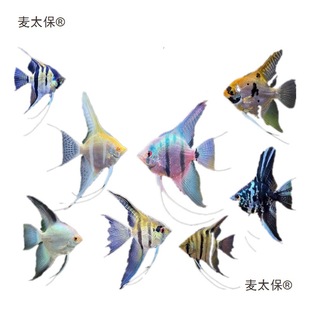 �����~���~�������~������ɫ�Ꭷ�^�p�~С�͵�ˮ���B�߲�����̫��