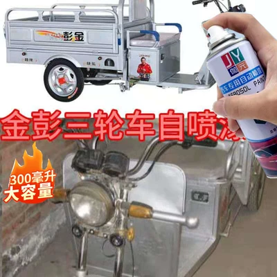 Jinpeng Laotoule electric tricycle, Avtomobil boya qələmləri - silver-gray-300ml-sandpaper