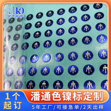 工厂定做潘通色号镍标电镀纯镍金属贴 包装标识标贴 汽车up分体标