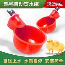 养鸡用自动饮水器鸡鸭鹅饮水碗鸽子喝水碗鹌鹑家禽鸟小鸡喂鸡神器