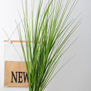 ����С�ݷ���ֲ��������[���Ѳ��b��쾰���~�ݶ�݅���ȼ�JȔ��