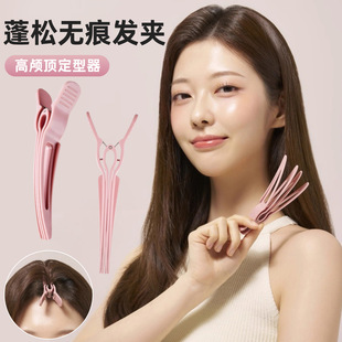 ���B�������Ȼ���ɊA�o�ۊA���ք������͊A2025�¿�l����λ�A��