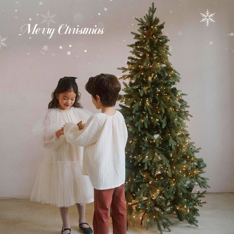 Árbol de Navidad 2024 nuevo estilo puro PE cifrado creativo grandes adornos estilo ins hogar AliExpress Amazon al por mayor