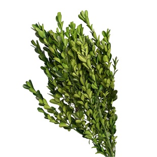 �������ֲ��С�~�S���f����Ҿӕ����Ƶ�廨�b����DIY�Ĕz�[