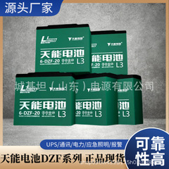 Tianneng 電気自動車バッテリー 6-EVF-45AH グラフェン鉛酸電源 12V48V60V 電気自動車バッテリー