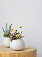 ?˼ ԼپGֲ bƷ[Сͷֲ辰art0