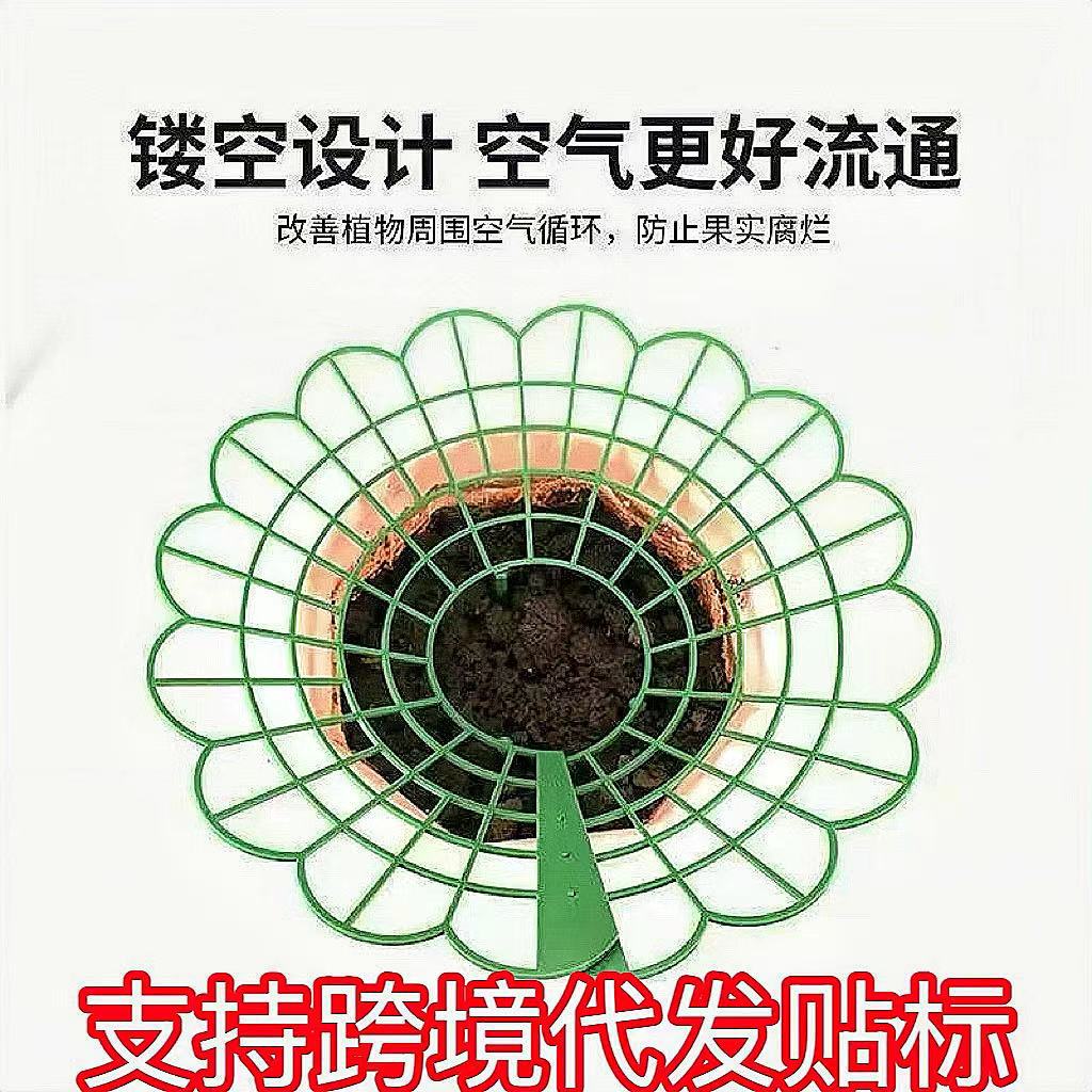 Three dimensional strawberry for growing plants