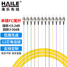 电信级光纤跳线FC单模12芯束装尾纤 分纤箱ODF配线架专用