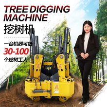 �ژ�C������ɻ��ʸ� �����������C ����C һ���Rһ�Ø�