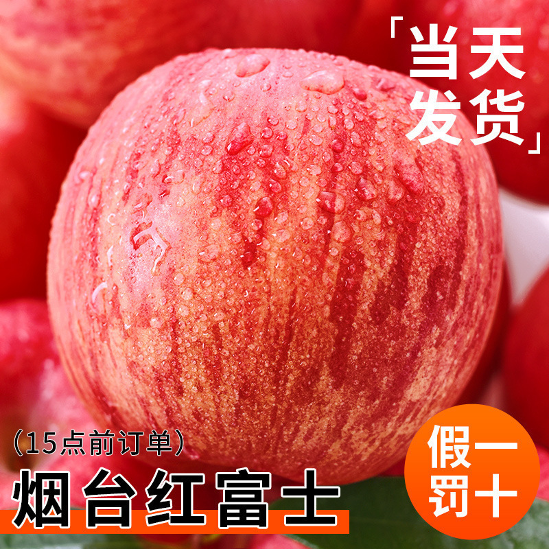 Yantai Red Fuji Apples 10 Seasonal Fresh Fruits Whole Box Shandong Qixia Crispy Sweet Rock Candy Heart Ugly Apples
