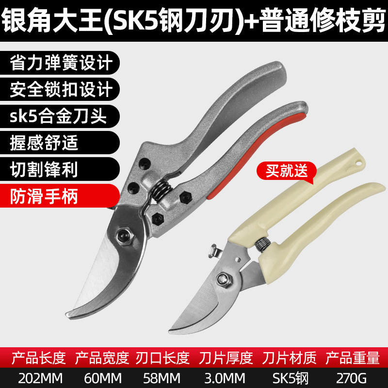 업그레이드된 [미끄럼 방지 손잡이] 은뿔왕 + 곡선 입 가위