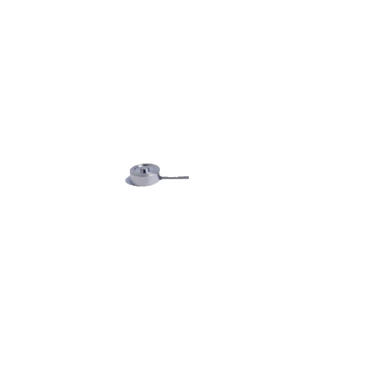 ����Transducer Technique  SW0ϵ���غɴ����� ��Ʒ���ʣ�