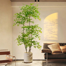 仿真植物南天竹落地盆栽室内仿生绿植摆件客厅装饰花假树