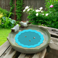 H 37531 Bee floating feeder �۷両ˮιˮ���羳����ͨ����