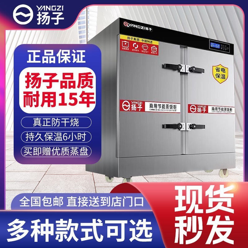 Gran gabinete de arroz al vapor de dos puertas, 24 placas automáticas, gabinete de vapor de gas, comedor de la escuela, pan al vapor comercial, envío gratuito