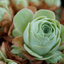 �Ʊ��҃�ɽ��õ��õ��С���Ե���ˮ���҉���������ϵ��Ү�_������