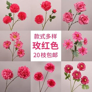 ��cõ�tɫ���ķ��滨���~�ӽ����Y��ܛ�b����·���廨������ˇ