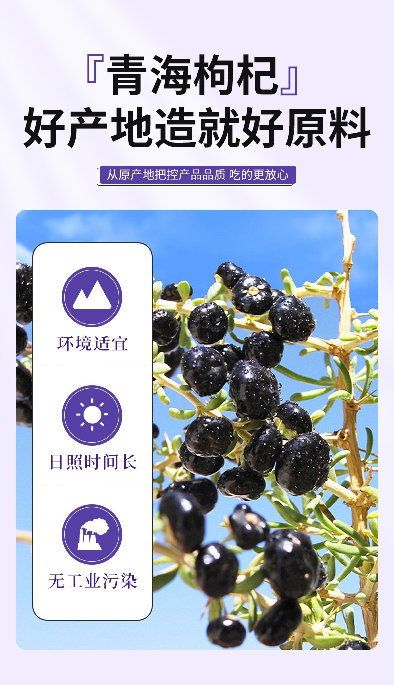 Black Goji Berry Puree 210ml Qinghai Fresh Fruit Juice Drink Ready to Drink key features