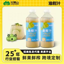 现货批发冷冻鲜果鲜榨瓶装油柑汁自助餐饮料餐饮调味油柑味果汁