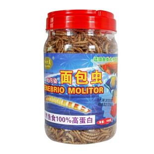 Red Smith Bread Worm Tenebrio Mill Canned Dragon Fish Special Feed Golden Dragon Fish Silver Dragon Fish Turtle Feed Food