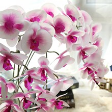 PU�����ָ��^�z�����m�����֦���Ϸ������ֲ���k���Ļ�����@ˇ