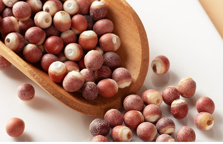 Dried Gorgon Fruit Seeds Qian Shi 500g Euryale Ferox Fox Nuts for Soup Congee and Herbal Tea in use
