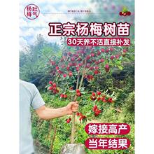 �|����÷�������Ԏ���܇���Ӵ�����ϱ����Nֲ�҃���ͥԺ�ļ�ˮ��