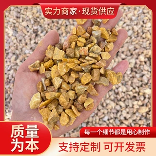 庭院铺路黄色砾石透水石深米黄中国黄虎皮黄石子黄色洗米石