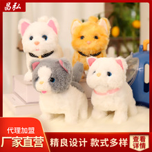 �綯ë��Сè�����л��߻ᶯ��߿ɰ�����������ӳ���è�乫��
